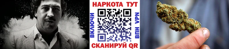 Купить наркотик аптеки Новосокольники Альфа ПВП Бошки Шишки ссылка на мегу зеркало Амфетамин Гашиш Мефедрон Кокаин NBOMe