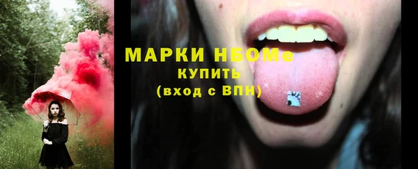 молекула духа Вяземский