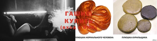 молекула духа Вяземский