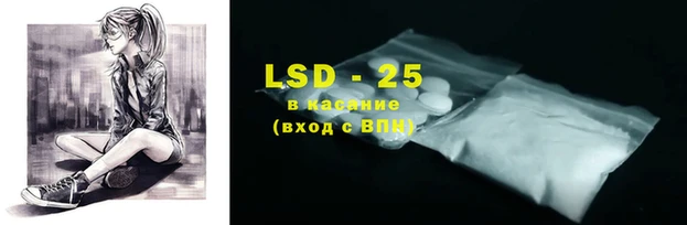 дмт Тайга