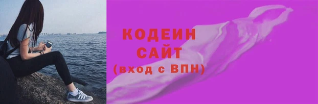 молекула духа Вяземский