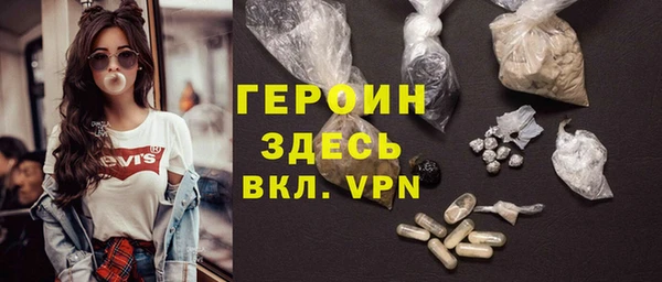молекула духа Вяземский