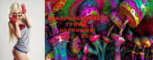 гашик Волосово