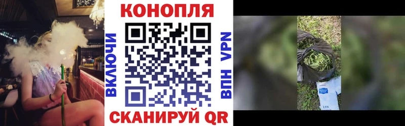 Шишки марихуана тримм  наркотики  Новосокольники 